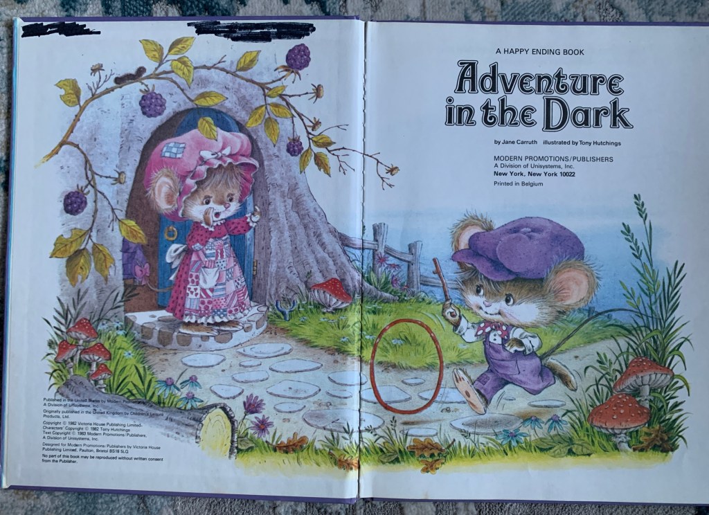 adventure story dark - Adventure in the Dark Jane Carruth illustrated by Tony - Etsy